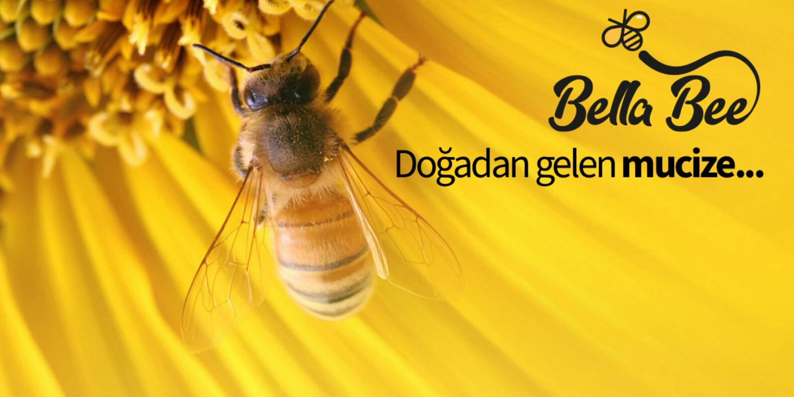 Bella Bee — doğadan gelen mucize temalı marka görseli